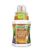 Ferramenta1.com | Gesal concime piante grasse 250 ml - PZ 12