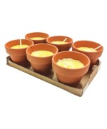 Ferramenta1.com | Citronella in coccio pollicino 7xh6 cm 6 pz - CF 24