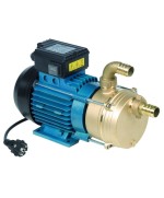 Ferramenta1.com | Elettropompa travaso 0,6 hp tellarini 2600 l/h 25 mm - PZ 1