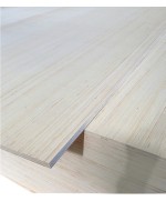 Ferramenta1.com | Compensato di pioppo 1000x610x 4 mm - PZ 10