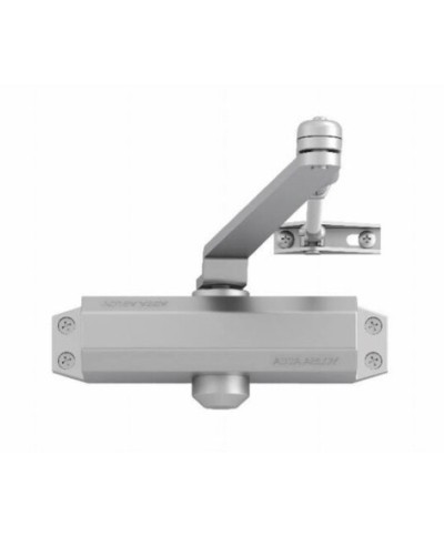 Ferramenta1.com | Chiudiporta dc110  certificato s/fermo argento - PZ 1