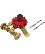 Ferramenta1.com | Centralina per gas a 2 rubin 10 kg/h s/fless mign* - PZ 1