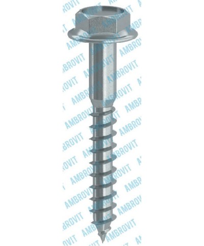 Ferramenta1.com | Tirafondi x legno s/rondella mm.  6x 50 ambrovit - PZ 200