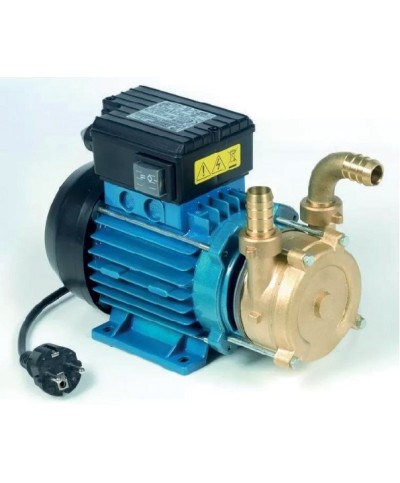 Ferramenta1.com | Elettropompa travaso 0,5 hp tellarini 1700 l/h 20 mm - PZ 1