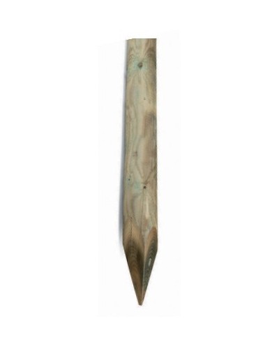 Ferramenta1.com | Palo impregnato tondo c/punta d 5xh100  cm - PZ 1