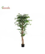 Ferramenta1.com | C pianta ficus artificiale 180 cm - PZ 2