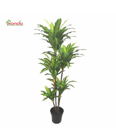 Ferramenta1.com | C pianta dracena artificiale 170 cm - PZ 2