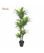 Ferramenta1.com | C pianta dracena artificiale 170 cm - PZ 2