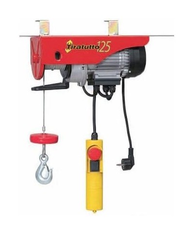Ferramenta1.com | Paranco elettrico europa tt125 c/radiocomando - PZ 1