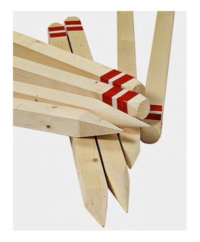 Ferramenta1.com | Picchetto in legno con punta 5x5xh100 cm - PZ 10