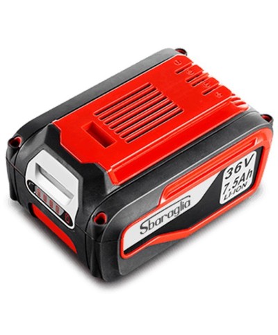 Ferramenta1.com | Batteria 7,5 ah 36v sbaraglia - PZ 1