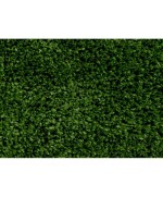 Ferramenta1.com | C set campionario tappeto erboso c.line - PZ 1