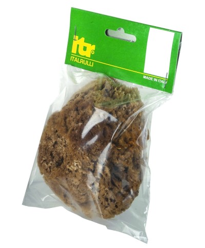 Ferramenta1.com | Spugna marina naturale 14 cm per pitture   sm - PZ 1