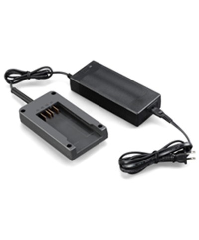 Ferramenta1.com | Caricabatteria 36v-2,5ah/7,5ah sbaraglia - PZ 1