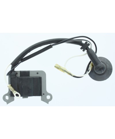 Ferramenta1.com | J-sky 40 fig.33  bobina elettrica - PZ 1