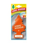 Ferramenta1.com | Arbre magique mediterraneo ibiza - PZ 24