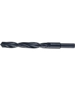 Ferramenta1.com | Bl punta hss codolo 10 mm d 14 mm - BL 6
