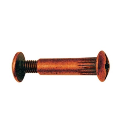 Ferramenta1.com | Sc giunzione 8x30 mm acc bronz vite 15 8 pz - SC 5
