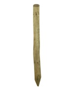 Ferramenta1.com | Palo punta in pino impregnato d 10xh300 cm - PZ 1