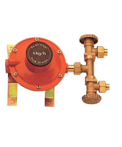 Ferramenta1.com | Pl centralina per gas a 2 rubin 4 kg/h mignon - PL 2