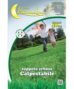 Ferramenta1.com | Semi prato calpestabile 1 kg - PZ 1