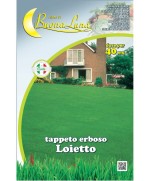 Ferramenta1.com | Semi prato loietto 1 kg - PZ 1