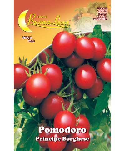 Ferramenta1.com | Semi orto pomodoro ciliegino - PZ 10
