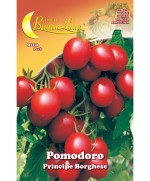 Ferramenta1.com | Semi orto pomodoro ciliegino - PZ 10