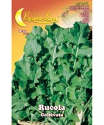 Ferramenta1.com | Semi orto rucola coltivata - PZ 10
