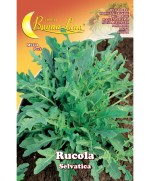 Ferramenta1.com | Semi orto rucola selvatica - PZ 10