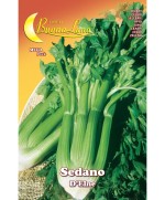 Ferramenta1.com | Semi orto sedano delne - PZ 10