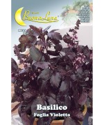 Ferramenta1.com | Semi orto basilico foglia violetta - PZ 10