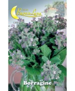 Ferramenta1.com | Semi orto borragine - PZ 10