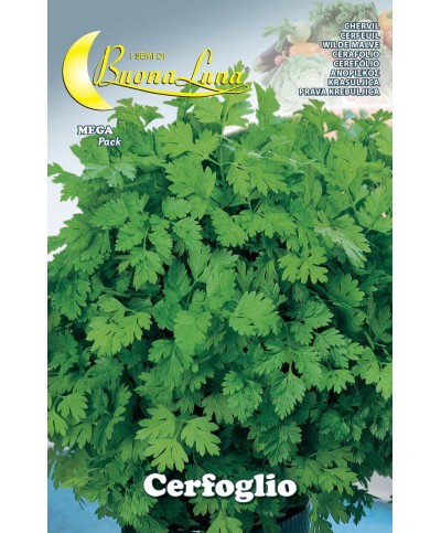Ferramenta1.com | Semi orto cerfoglio - PZ 10