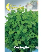 Ferramenta1.com | Semi orto cerfoglio - PZ 10