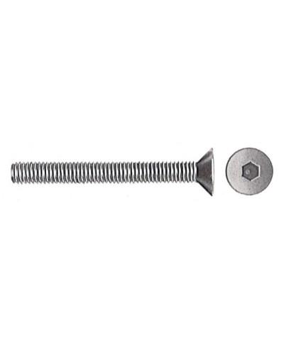 Ferramenta1.com | Sc viti per bussola t.s.p. esag inc 6ma 50 mm 10 pz - SC 10