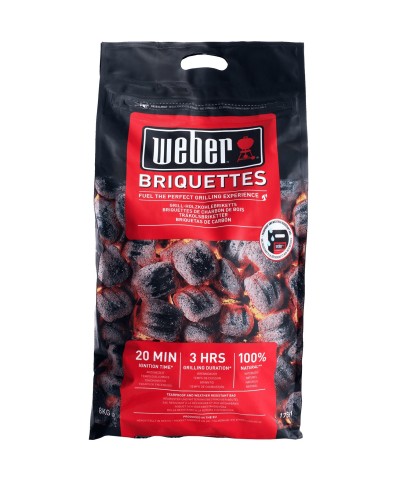 Ferramenta1.com | Weber bricchetti carbone da 8 kg - PZ 1