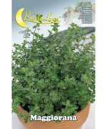 Ferramenta1.com | Semi orto maggiorana - PZ 10