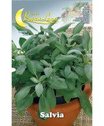 Ferramenta1.com | Semi orto salvia - PZ 10