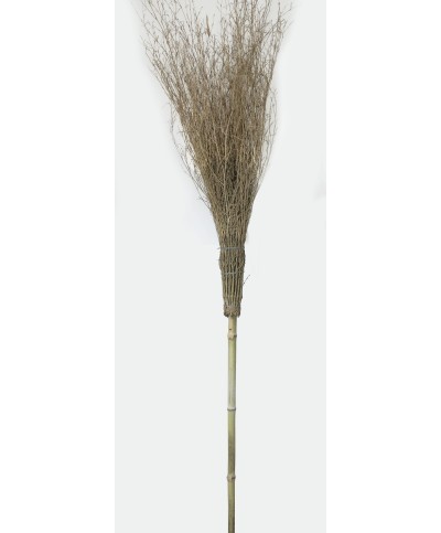 Ferramenta1.com | Scopa in bambu 210 cm 15 rami import - PZ 20