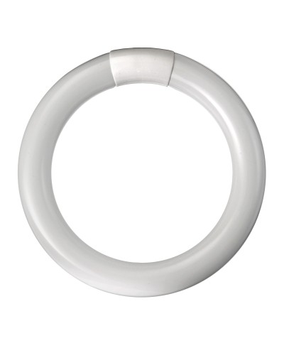 Ferramenta1.com | Circolina fluo trifosforo 22w - PZ 12