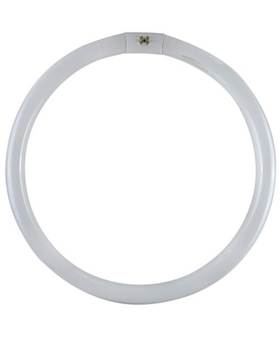 Ferramenta1.com | Circolina fluo trifosforo 40w * - PZ 12