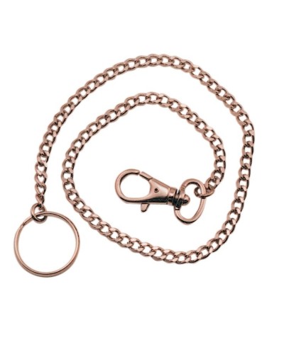 Ferramenta1.com | Pl portachiavi con catena acciaio 46 cm - PL 6