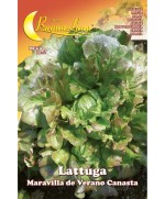 Ferramenta1.com | Semi orto lattuga canasta - PZ 10