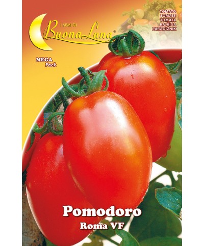 Ferramenta1.com | Semi orto pomodoro roma - PZ 10
