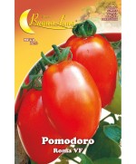 Ferramenta1.com | Semi orto pomodoro roma - PZ 10