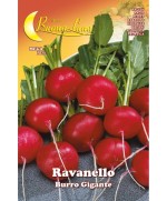 Ferramenta1.com | Semi orto ravanello gigante - PZ 10