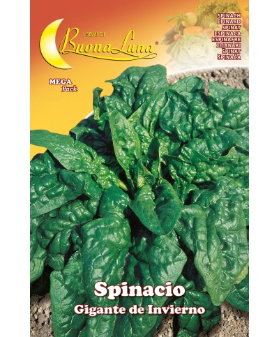 Ferramenta1.com | Semi orto spinaci giganti - PZ 10
