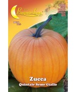 Ferramenta1.com | Semi orto zucca quintale - PZ 10