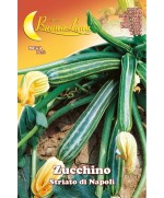 Ferramenta1.com | Semi orto zucchino striato napoli - PZ 10